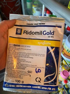 Ridomil gold