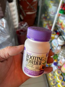 Rooting powder kích rễ Mỹ