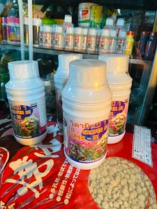 B1 Thái trắng 500ml